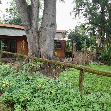 Alkmaar Hawkshead Lodge מראה חיצוני תמונה