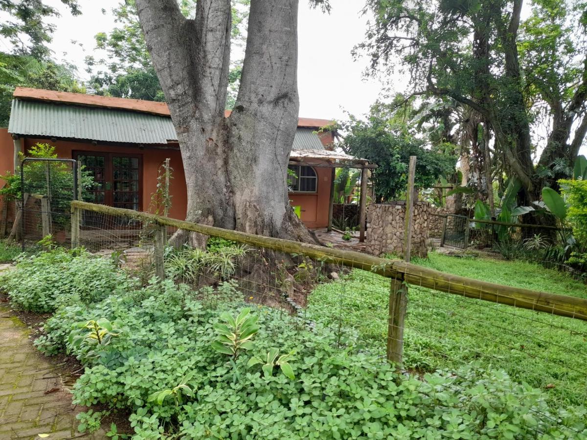 Alkmaar Hawkshead Lodge מראה חיצוני תמונה